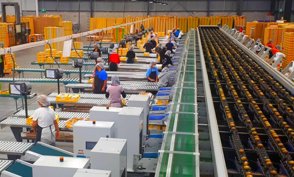 Factory Job in New Zealand with Visa Sponsorship